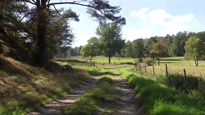 Rånö. Nature field recording. Beyerdynamic MC930, Wendt X3, Tascam DR-100mkII.
