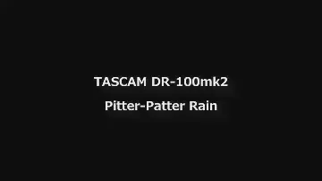 TASCAM DR-100mk2 Pitter-patter Rain Sound