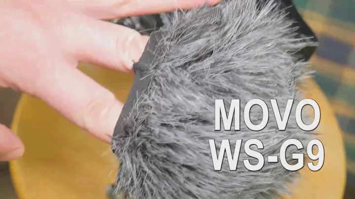 Movo WS-G9 Review For Tascam DR-40 | Does it work?