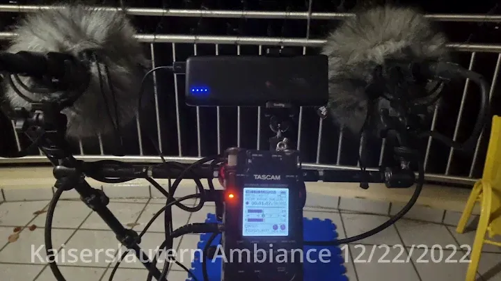 Kaiserslautern Ambiance / Field Recording / Wind / Rain / Sennheiser MKH 20's / Tascam DR-100 MKIII
