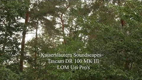Tascam DR 100 MKIII / Field Recording