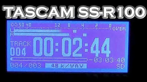 Цифровая передача Tascam SS-R100