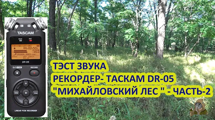 ТЭСТ РЕКОРДЕРА TASCAM - DR - 05