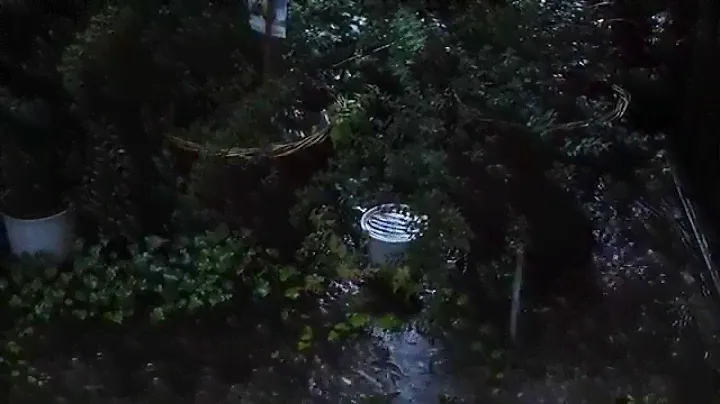 Tascam TM-2X outdoor test - Rain and thunder