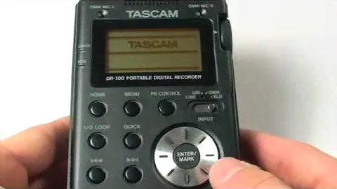 Tascam DR100: Oral History and Digital Technology