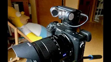 Test Review TASCAM TM-2X external Mircophone / Mikrofon Sony A6300