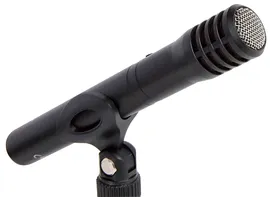 Tascam TM-60 Студийный конденсаторный микрофон, кардиоида, цвет черный.