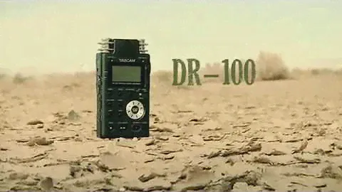 TASCAM DR-100 Portable Recorder with XLR Mic Ins